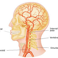Beyin ve Sinir Cerrahisi Doktorları