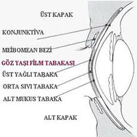 Göz Hastalıkları Doktorları