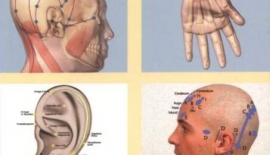 Akupunktur Nasıl Etki Ediyor