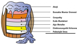 Alerjiler Tehlikeli Olabilir Mi?