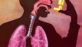 Astım Nöbetlerinin Nedenleri