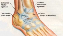 Ayak BileÄŸi Burkulma Belirtileri