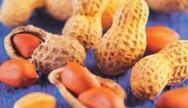 B1 Vitamin EksikliÄŸi