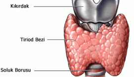 Guatr Nedir Belirtileri Nelerdir